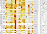 Spreadsheet_from_Hell.png
