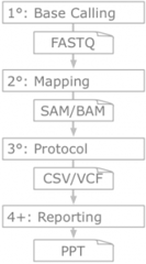 Common sequencing informatics workflow steps  